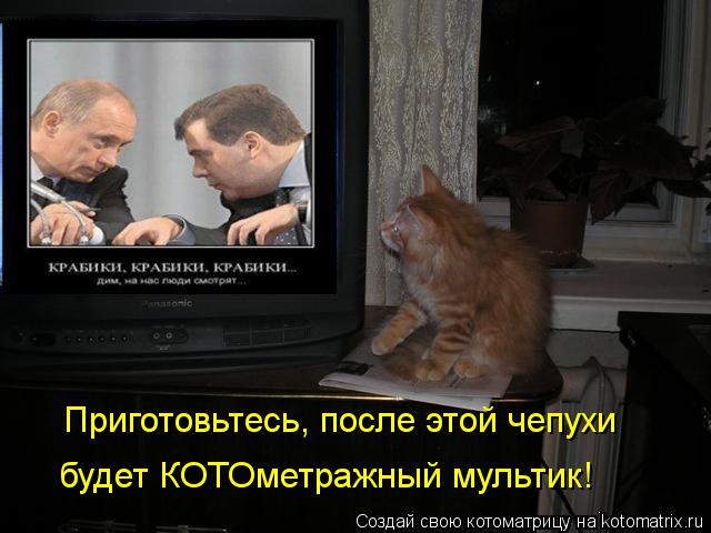 Приготовьтесь, после этой чепухи будет КОТОметражный мультик!... Котоматрица: Приготовьтесь, после этой чепухи будет КОТОметражный мультик!