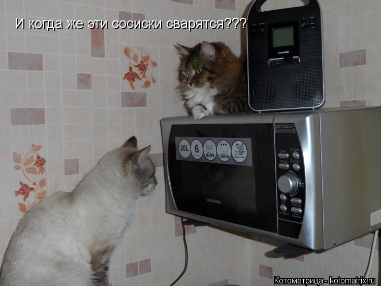 И когда же эти сосиски сварятся???... Котоматрица: И когда же эти сосиски сварятся???