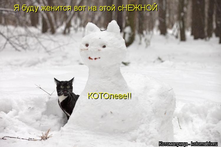 Котоматрица: Я буду женится вот на этой сНЕЖНОЙ КОТОлеве!!