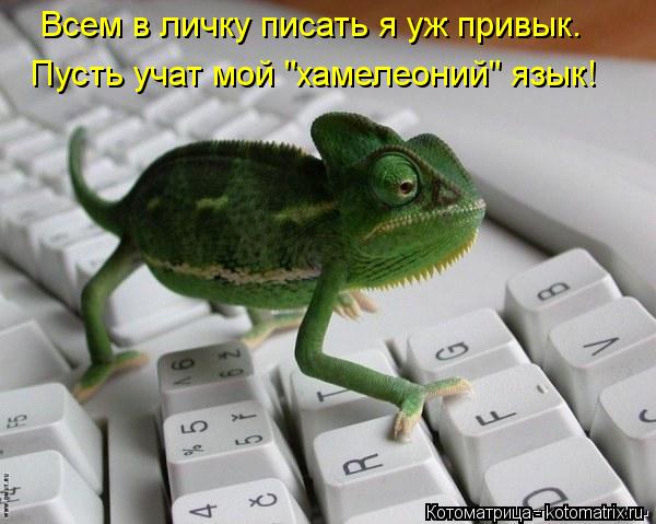 Всем в личку писать я уж привык. Пусть учат мой "хамелеоний" язык!... Котоматрица: Всем в личку писать я уж привык. Пусть учат мой "хамелеоний" язык!