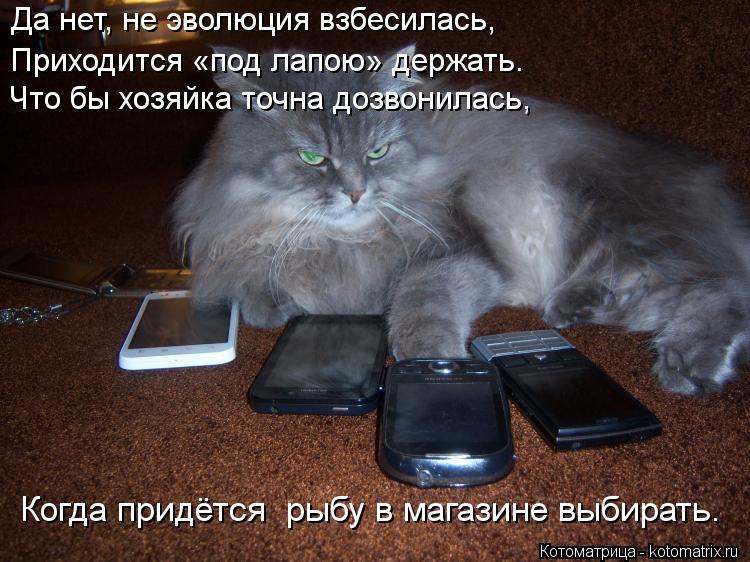 Да нет, не эволюция взбесилась, Приходится «под лапою» держать. Что бы хозяйка точна дозвонилась, Ко... Котоматрица: Да нет, не эволюция взбесилась, Приходится «под лапою» держать. Что бы хозяйка точна дозвонилась, Когда придётся рыбу в магазине выбирать.