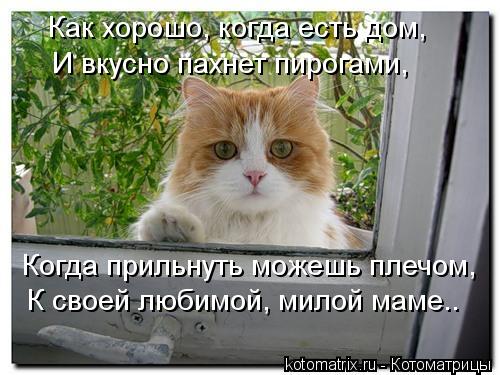 Как хорошо, когда есть дом, И вкусно пахнет пирогами, Когда прильнуть можешь плечом, К своей любимой,... Котоматрица: Как хорошо, когда есть дом, И вкусно пахнет пирогами, Когда прильнуть можешь плечом, К своей любимой, милой маме..