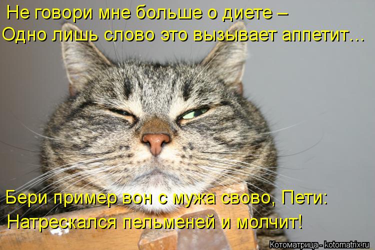 Котоматрица: Не говори мне больше о диете –  Одно лишь слово это вызывает аппетит… Бери пример вон с мужа свово, Пети: Натрескался пельменей и молчит!