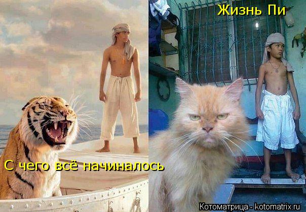 Жизнь Пи С чего всё начиналось... Котоматрица: Жизнь Пи С чего всё начиналось