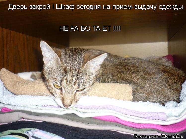 Котоматрица: Дверь закрой ! Шкаф сегодня на прием-выдачу одежды  НЕ РА БО ТА ЕТ !!!!