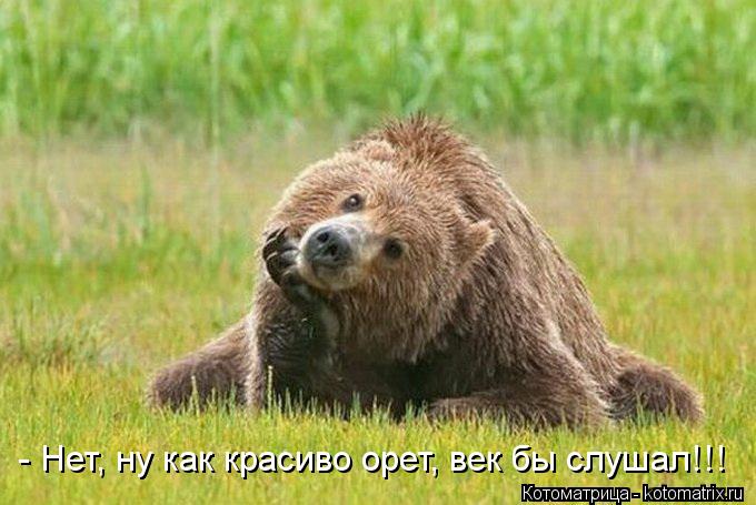 - Нет, ну как красиво орет, век бы слушал!!!... Котоматрица: - Нет, ну как красиво орет, век бы слушал!!!