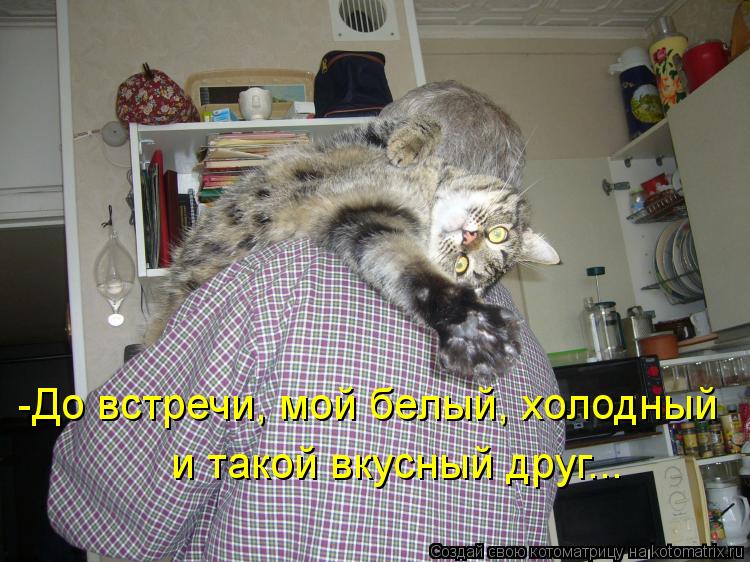 -До встречи, мой белый, холодный и такой вкусный друг...... Котоматрица: -До встречи, мой белый, холодный и такой вкусный друг...