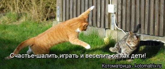 Счастье-шалить,играть и веселиться как дети!... Котоматрица: Счастье-шалить,играть и веселиться как дети!