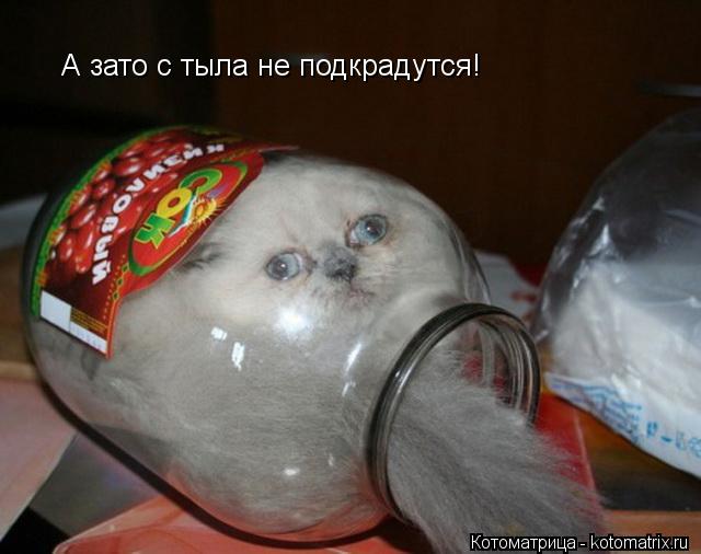 Котоматрица: А зато с тыла не подкрадутся!