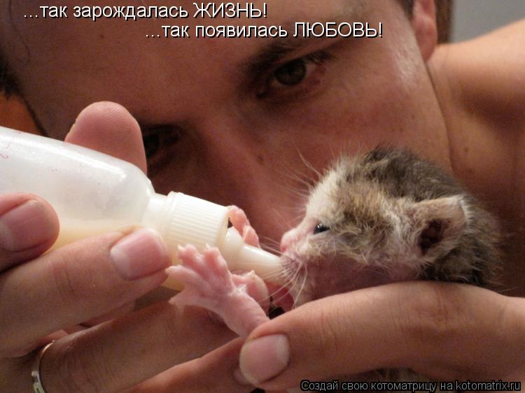 ...так появилась ЛЮБОВЬ! ...так зарождалась ЖИЗНЬ!... Котоматрица: ...так появилась ЛЮБОВЬ! ...так зарождалась ЖИЗНЬ!