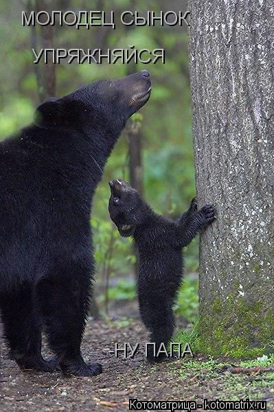 МОЛОДЕЦ СЫНОК УПРЯЖНЯЙСЯ -НУ ПАПА... Котоматрица: МОЛОДЕЦ СЫНОК УПРЯЖНЯЙСЯ -НУ ПАПА