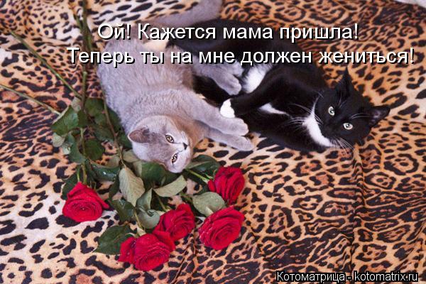 Котоматрица: Ой! Кажется мама пришла!  Теперь ты на мне должен жениться!