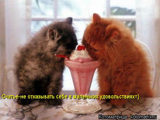 Счатье-не отказывать себе в маленьких удовольствиях=)... Котоматрица: Счатье-не отказывать себе в маленьких удовольствиях=)