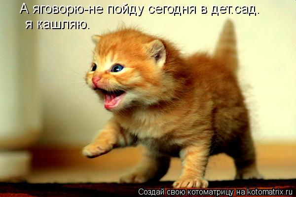 А яговорю-не пойду сегодня в дет.сад. я кашляю.... Котоматрица: А яговорю-не пойду сегодня в дет.сад. я кашляю.
