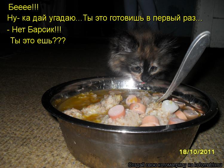 Котоматрица: Бееее!!! Ну- ка дай угадаю...Ты это готовишь в первый раз... - Нет Барсик!!! Ты это ешь???