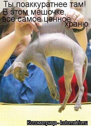 Ты поаккуратнее там! В этом мешочке, все самое ценное храню.... Котоматрица: Ты поаккуратнее там! В этом мешочке, все самое ценное храню.