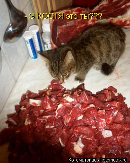Котоматрица: - Э КОСТЯ это ты???