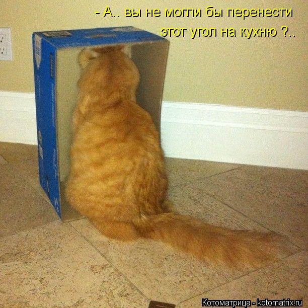 - А.. вы не могли бы перенести этот угол на кухню ?..... Котоматрица: - А.. вы не могли бы перенести этот угол на кухню ?..