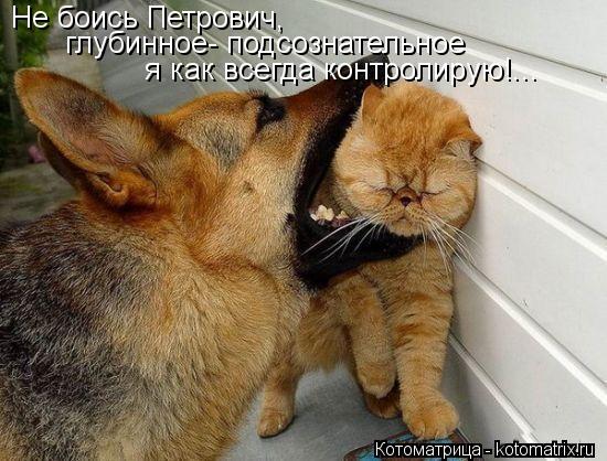 Не боись Петрович, глубинное- подсознательное я как всегда контролирую!...... Котоматрица: Не боись Петрович, глубинное- подсознательное я как всегда контролирую!...