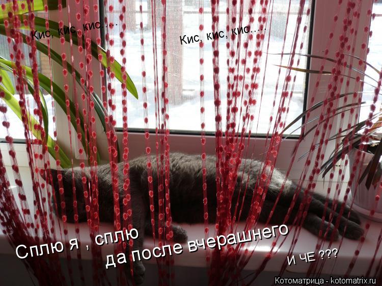 Кис, кис, кис..... Кис, кис, кис..... Сплю я , сплю да после вчерашнего И ЧЕ ???... Котоматрица: Кис, кис, кис..... Кис, кис, кис..... Сплю я , сплю да после вчерашнего И ЧЕ ???