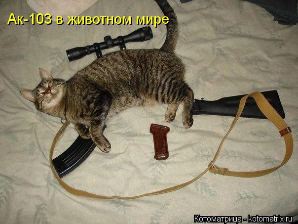 Котоматрица: Ак-103 в животном мире