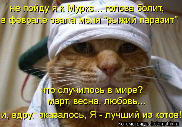 Котоматрица: не пойду я к Мурке... голова болит, в феврале звала меня "рыжий паразит"  что случилось в мире?  март, весна, любовь... и, вдруг оказалось, Я - лучш