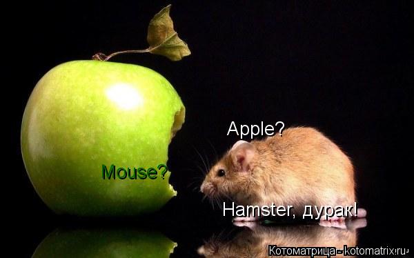 Котоматрица: Apple? Mouse? Hamster, дурак!