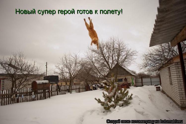 Котоматрица: Новый супер герой готов к полету!