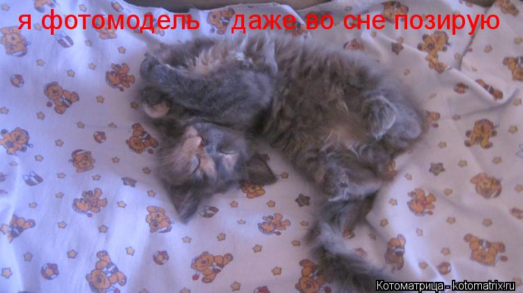 я фотомодель даже во сне позирую... Котоматрица: я фотомодель даже во сне позирую