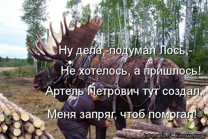 Не хотела а пришлось фото 37-460 Не хотела а пришлось фото 37-460