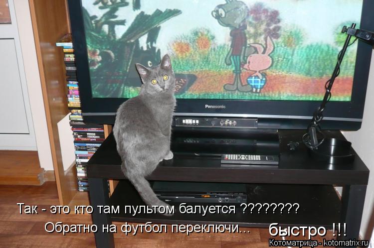 Так - это кто там пультом балуется ???????? Обратно на футбол переключи... быстро !!!... Котоматрица: Так - это кто там пультом балуется ???????? Обратно на футбол переключи... быстро !!!