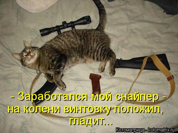- Заработался мой снайпер - на колени винтовку положил, гладит...... Котоматрица: - Заработался мой снайпер - на колени винтовку положил, гладит...