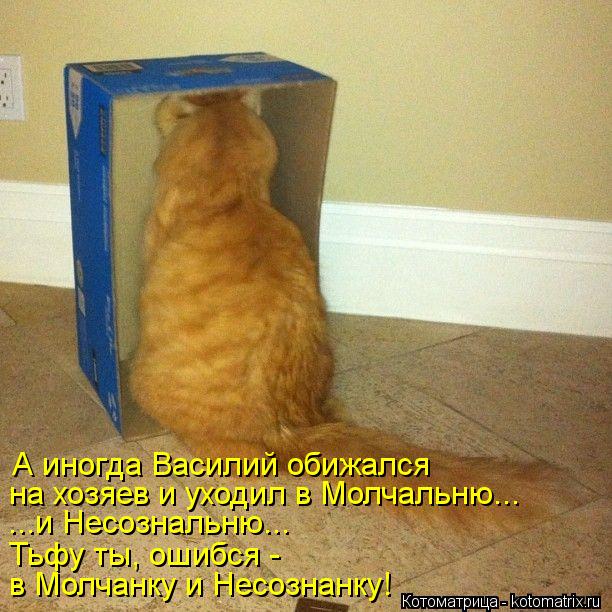 А иногда Василий обижался на хозяев и уходил в Молчальню... ...и Несознальню... Тьфу ты, ошибся - в ... Котоматрица: А иногда Василий обижался на хозяев и уходил в Молчальню... ...и Несознальню... Тьфу ты, ошибся - в Молчанку и Несознанку!
