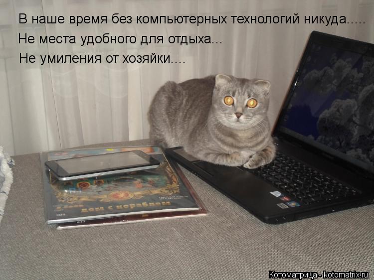 В наше время без компьютерных технологий никуда..... Не места удобного для отдыха... Не умиления от х... Котоматрица: В наше время без компьютерных технологий никуда..... Не места удобного для отдыха... Не умиления от хозяйки....