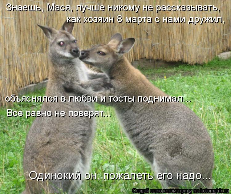 Знаешь, Мася, лучше никому не рассказывать, объяснялся в любви и тосты поднимал... как хозяин 8 марта... Котоматрица: Знаешь, Мася, лучше никому не рассказывать, объяснялся в любви и тосты поднимал... как хозяин 8 марта с нами дружил, Все равно не поверят... Оди