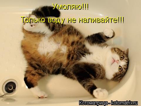 Котоматрица: Умоляю!!! Только воду не наливайте!!!