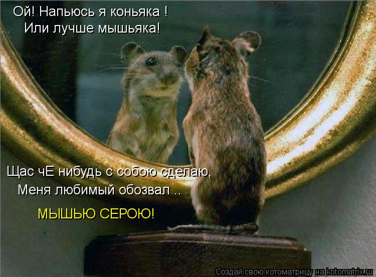 Ой! Напьюсь я коньяка ! Или лучше мышьяка! Щас чЕ нибудь с собою сделаю, Меня любимый обозвал .. МЫШ... Котоматрица: Ой! Напьюсь я коньяка ! Или лучше мышьяка! Щас чЕ нибудь с собою сделаю, Меня любимый обозвал .. МЫШЬЮ СЕРОЮ!