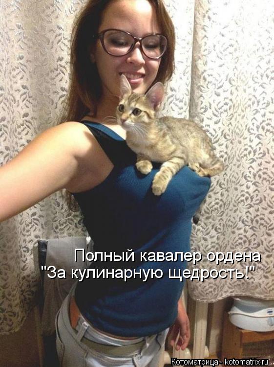 Котоматрица: Полный кавалер ордена "За кулинарную щедрость!"