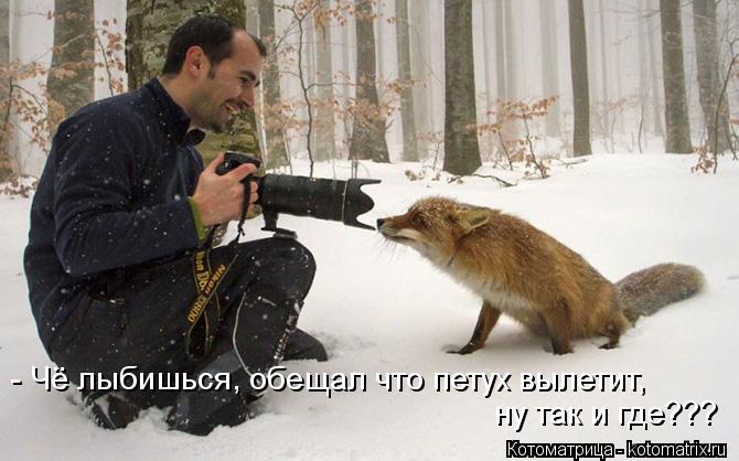 - Чё лыбишься, обещал что петух вылетит, ну так и где???... Котоматрица: - Чё лыбишься, обещал что петух вылетит, ну так и где???
