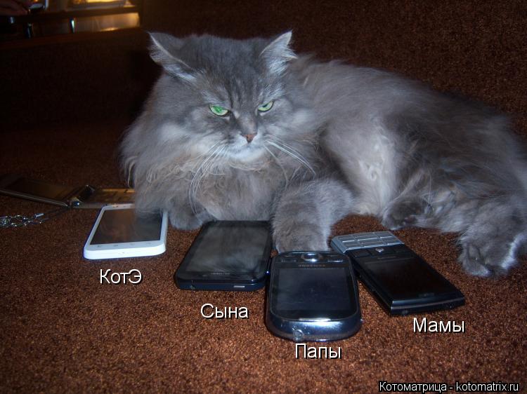 Котоматрица: Сына КотЭ Папы Мамы
