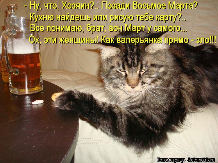 Котоматрица: - Ну, что, Хозяин?.. Позади Восьмое Марта? Кухню найдешь или рисую тебе карту?.. Ох, эти женщины! Как валерьянка прямо - зло!!! Все понимаю, брат, в