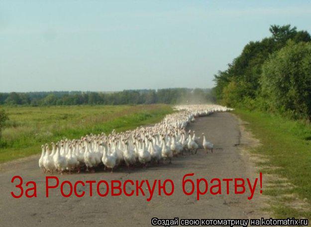 За Ростовскую братву!... Котоматрица: За Ростовскую братву!