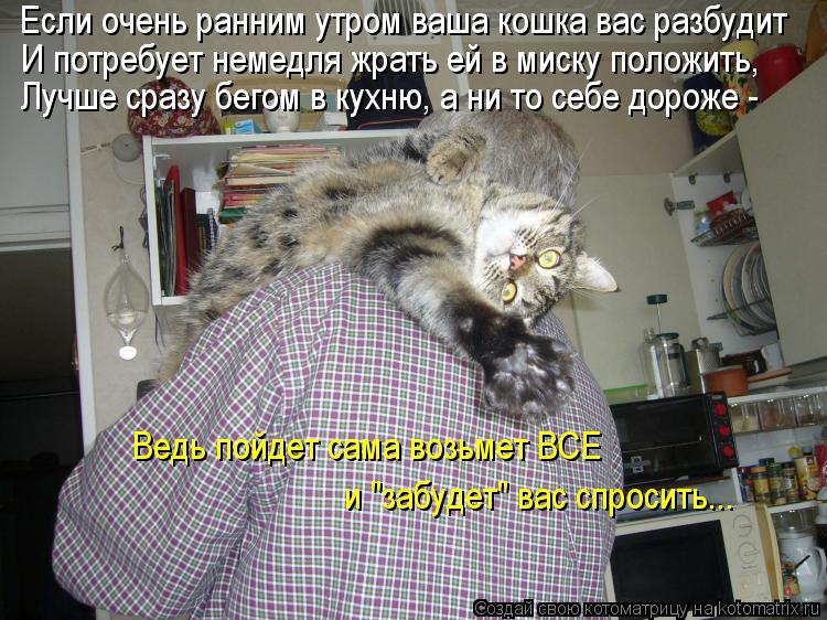 Котоматрица: Если очень ранним утром ваша кошка вас разбудит И потребует немедля жрать ей в миску положить, Лучше сразу бегом в кухню, а ни то себе дороже