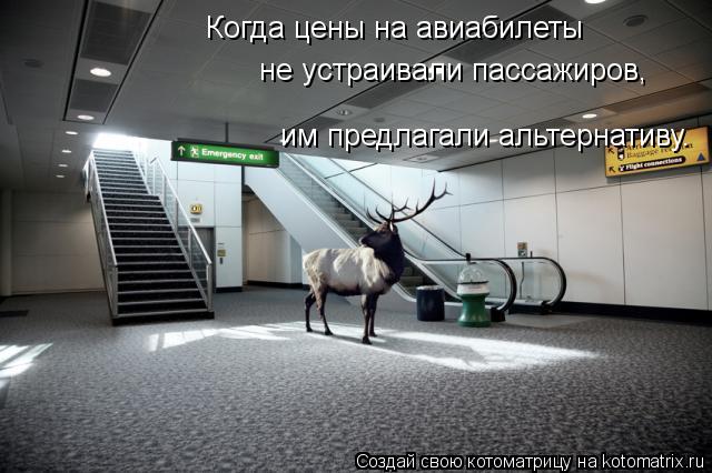 Когда цены на авиабилеты не устраивали пассажиров, им предлагали альтернативу. Альтернатива почему-т... Котоматрица: Когда цены на авиабилеты не устраивали пассажиров, им предлагали альтернативу. Альтернатива почему-то всегда доставляла
