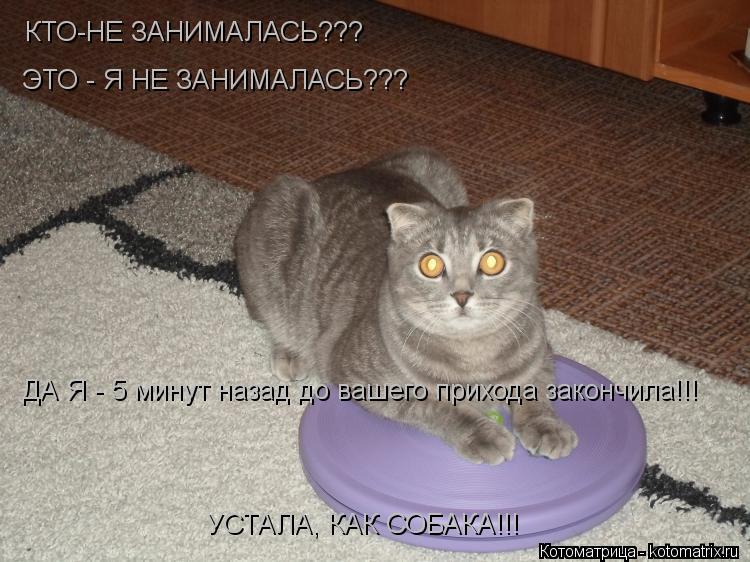 КТО-НЕ ЗАНИМАЛАСЬ??? ЭТО - Я НЕ ЗАНИМАЛАСЬ??? ДА Я - 5 минут назад до вашего прихода закончила!!! УСТ... Котоматрица: КТО-НЕ ЗАНИМАЛАСЬ??? ЭТО - Я НЕ ЗАНИМАЛАСЬ??? ДА Я - 5 минут назад до вашего прихода закончила!!! УСТАЛА, КАК СОБАКА!!!