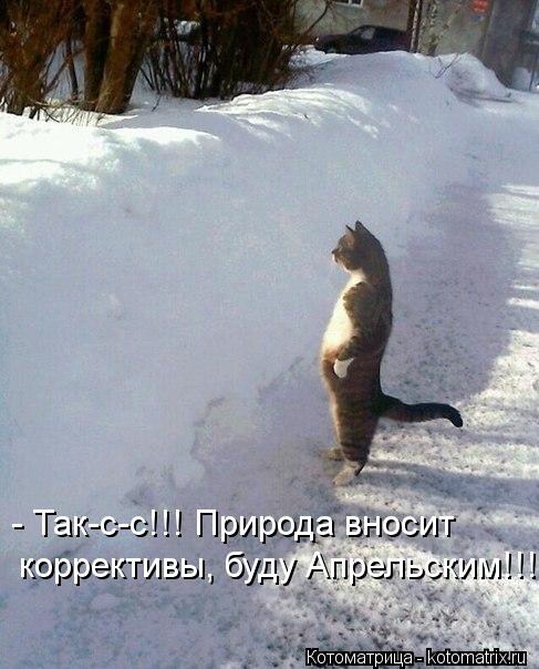 - Так-с-с!!! Природа вносит коррективы, буду Апрельским!!!... Котоматрица: - Так-с-с!!! Природа вносит коррективы, буду Апрельским!!!