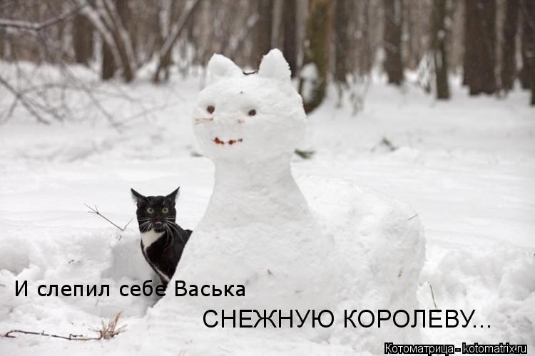 Котоматрица: И слепил себе Васька СНЕЖНУЮ КОРОЛЕВУ...