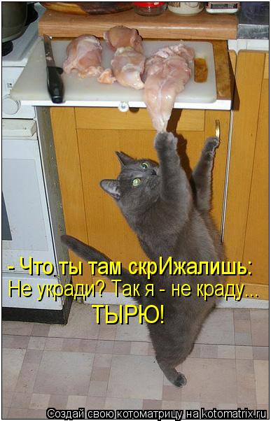 - Что ты там скрИжалишь: Не укради? Так я - не краду... ТЫРЮ!... Котоматрица: - Что ты там скрИжалишь: Не укради? Так я - не краду... ТЫРЮ!