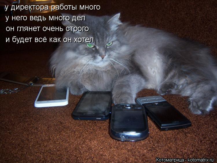 Котоматрица: у директора работы много у него ведь много дел он глянет очень строго и будет всё как он хотел