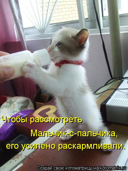 Чтобы рассмотреть его усилено раскармливали. Мальчик-с-пальчика,... Котоматрица: Чтобы рассмотреть его усилено раскармливали. Мальчик-с-пальчика,